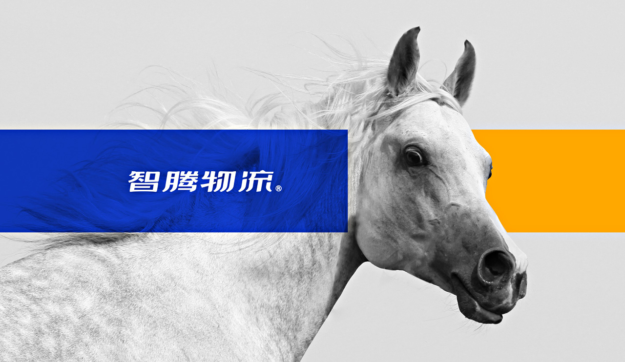 物流宣傳畫(huà)冊(cè)設(shè)計(jì)