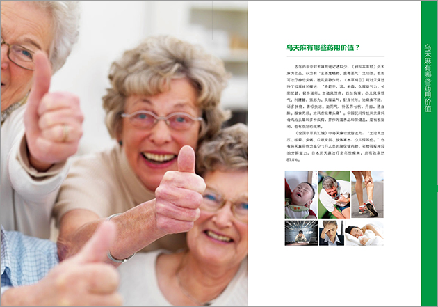 云南烏蒙健爾昭通天麻宣傳冊設(shè)計