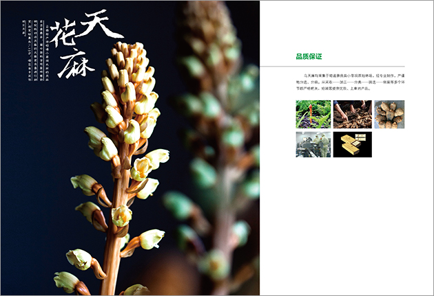 宣傳畫冊設(shè)計