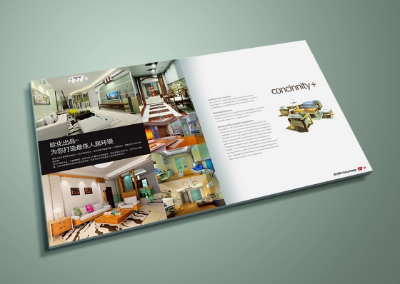 深圳畫冊設(shè)計(jì),畫冊設(shè)計(jì)公司，企業(yè)畫冊設(shè)計(jì),企業(yè)畫冊,公司畫冊設(shè)計(jì),高端畫冊設(shè)計(jì),唐朝設(shè)計(jì)