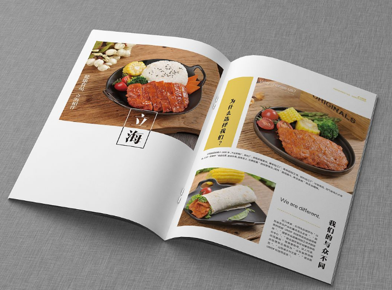 深圳畫冊設(shè)計(jì),畫冊設(shè)計(jì)公司，企業(yè)畫冊設(shè)計(jì),企業(yè)畫冊,公司畫冊設(shè)計(jì),高端畫冊設(shè)計(jì),唐朝設(shè)計(jì)