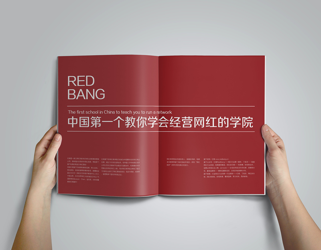 網(wǎng)紅學(xué)院畫(huà)冊(cè)設(shè)計(jì)