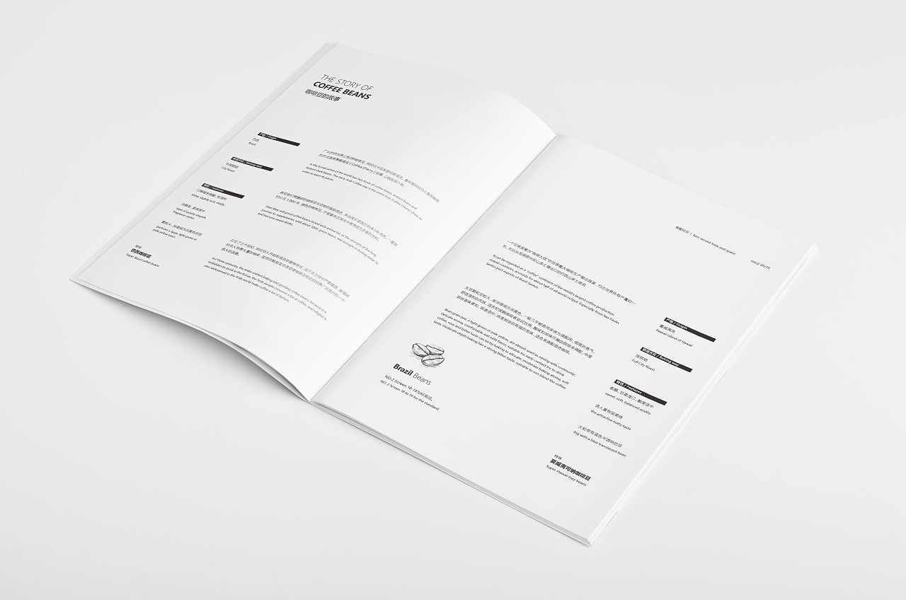 企業(yè)畫冊設計公司