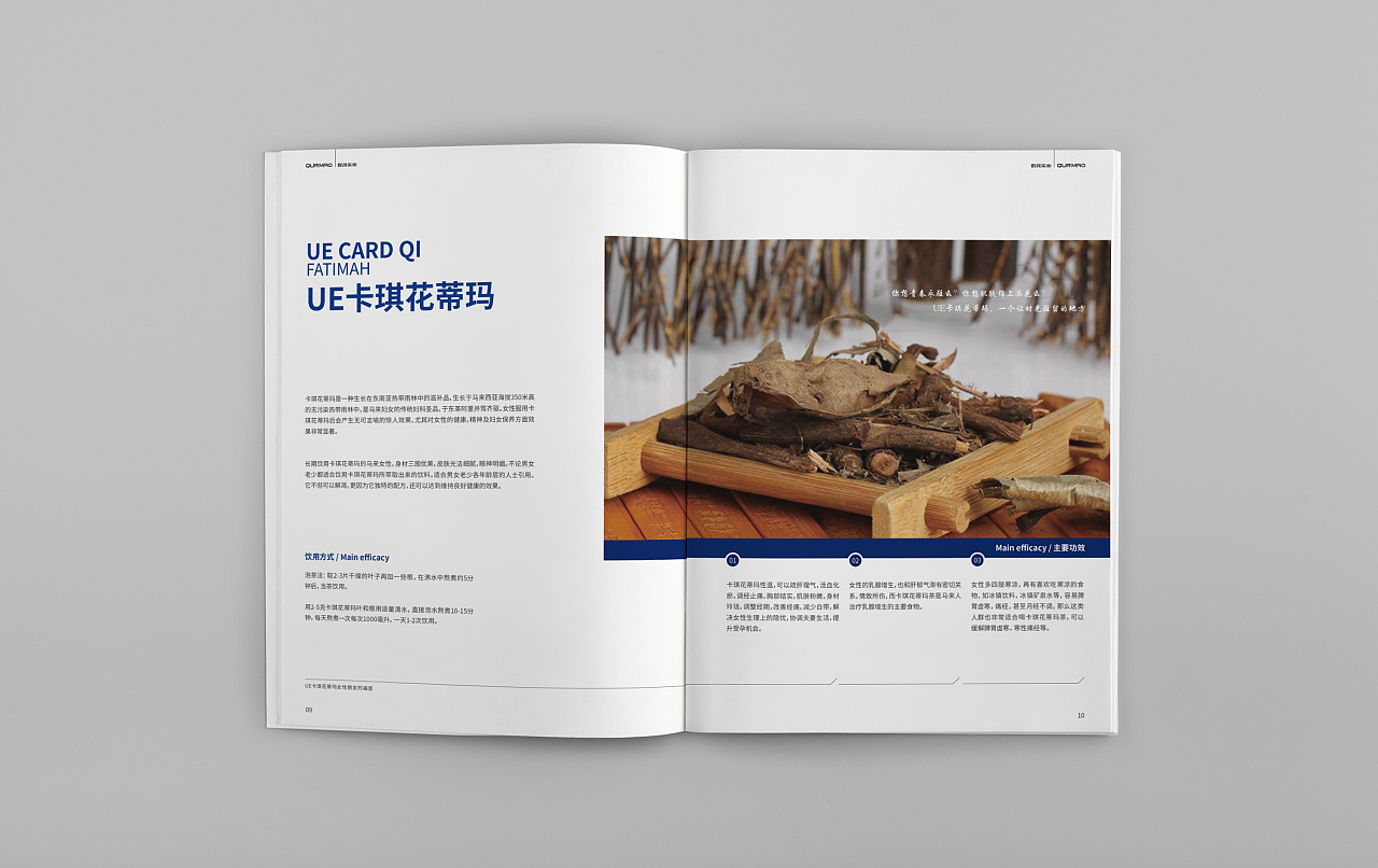 群茂實(shí)業(yè)畫冊(cè)設(shè)計(jì)