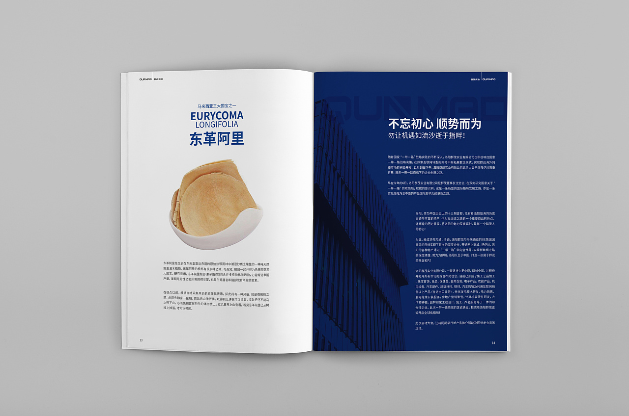 群茂實(shí)業(yè)畫冊(cè)設(shè)計(jì)