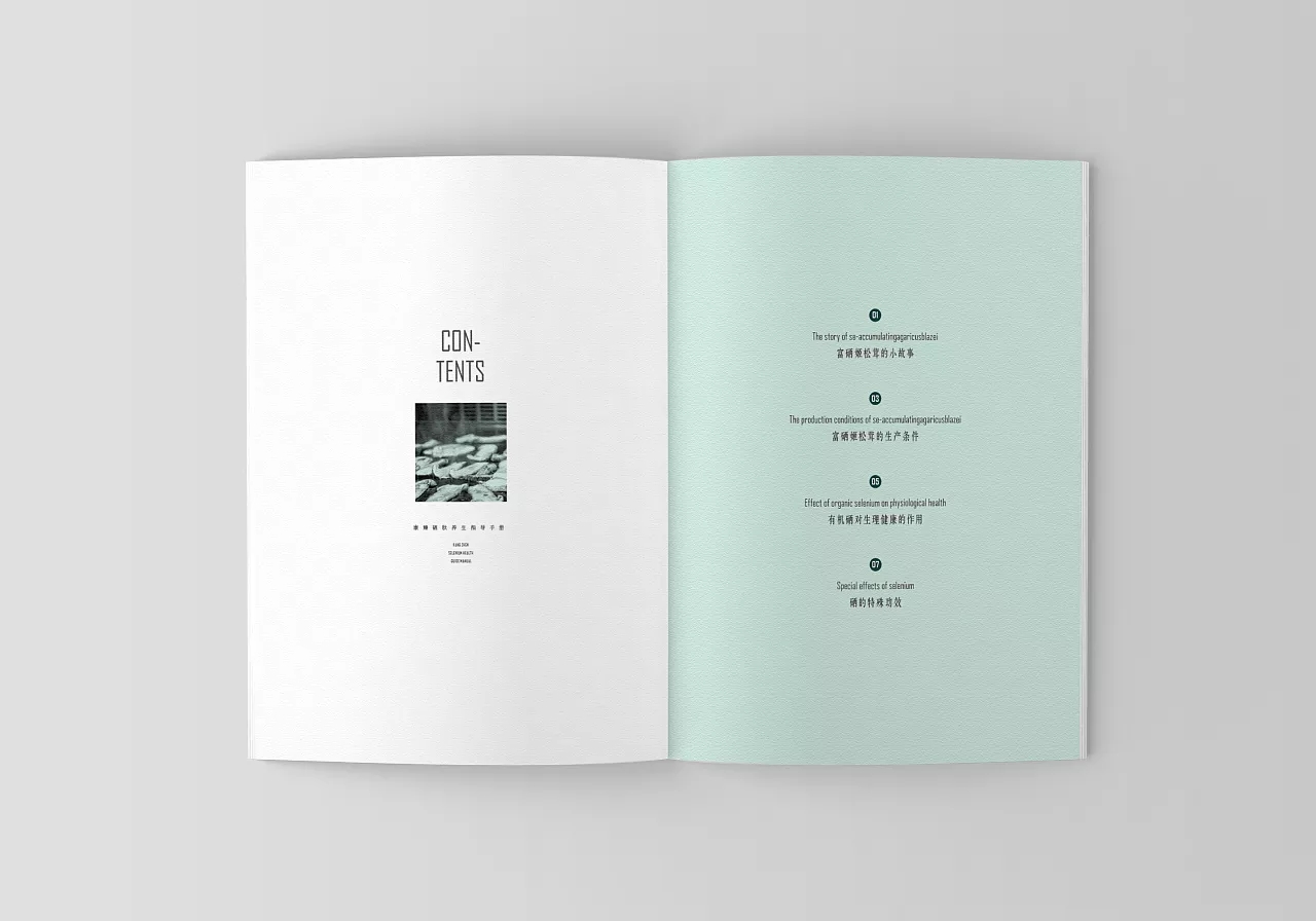 姬松茸畫冊設(shè)計(jì)