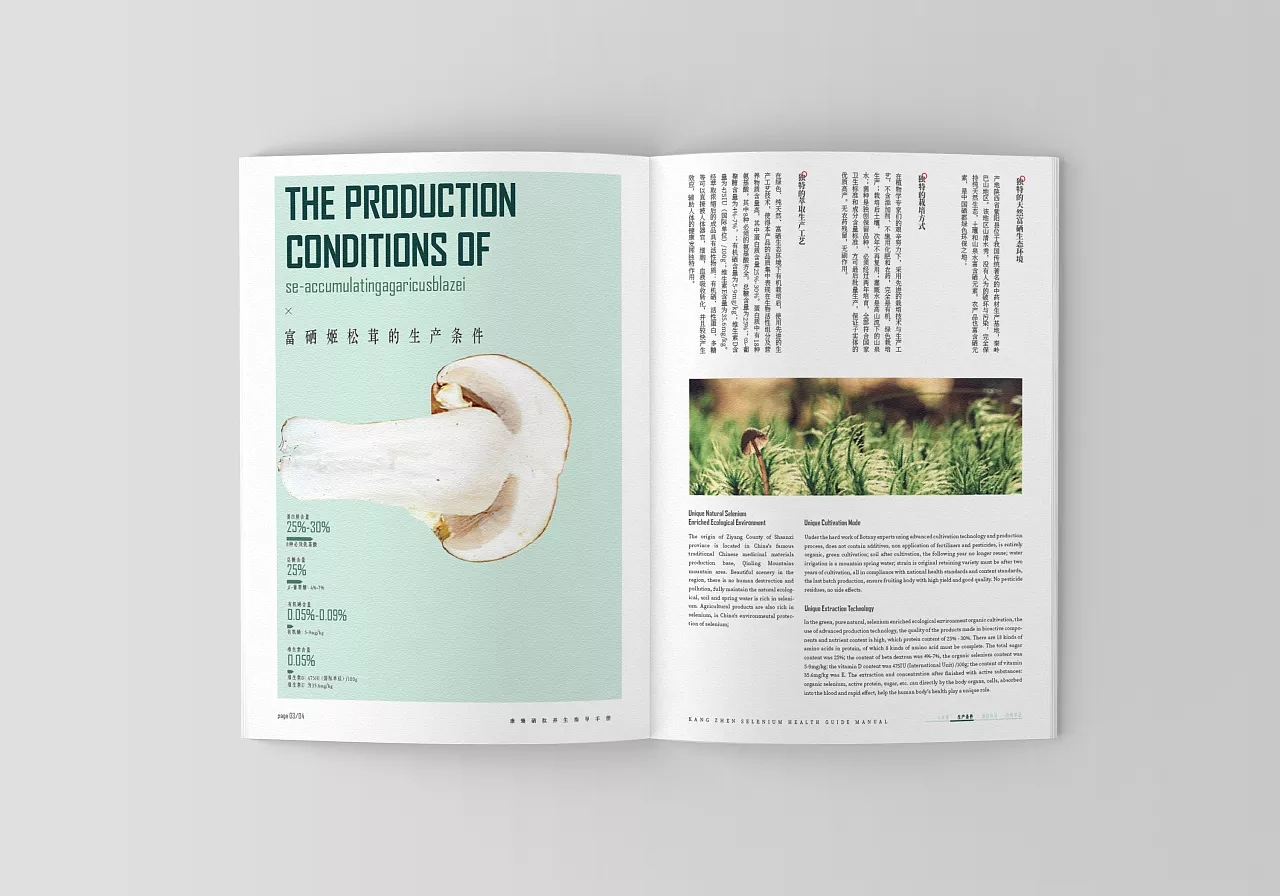 姬松茸畫冊設(shè)計(jì)