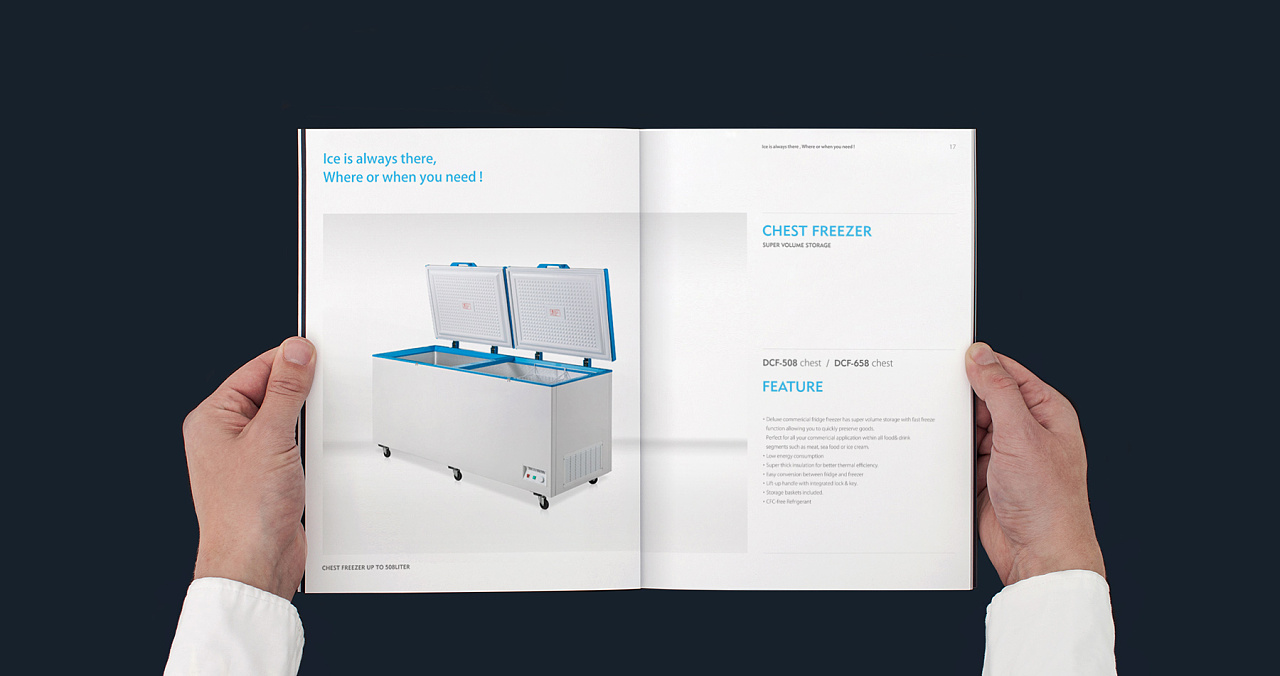 Delux電器畫冊設(shè)計