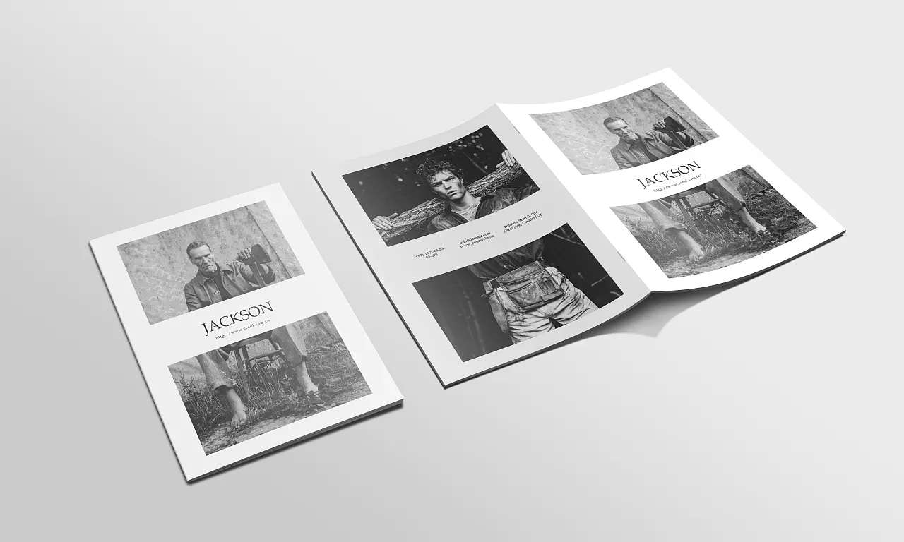 專業(yè)的畫冊設計