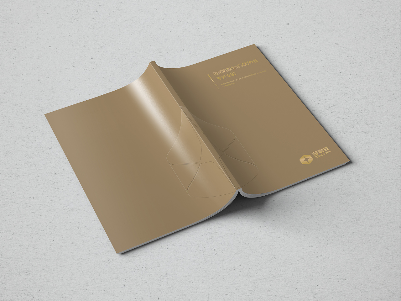 金融聯(lián)畫冊設(shè)計