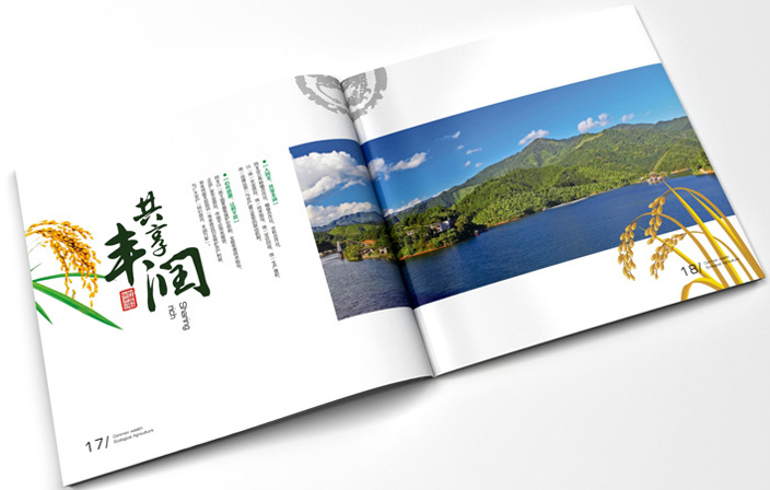 許多公司總是看到比賽的宣傳冊(cè)設(shè)計(jì)成品，并且總是有疑問：“為什么簡(jiǎn)單地放置文字和圖片卻沒有創(chuàng)造力和復(fù)雜性？ 為什么它是如此舒適和美麗？” 當(dāng)然，由于各種原因，宣傳冊(cè)設(shè)計(jì)也存在差異，但實(shí)際上，最重要和核心的差異是在宣傳冊(cè)設(shè)計(jì)過程中對(duì)文字的詳細(xì)處理和側(cè)重點(diǎn)。 好的設(shè)計(jì)和排版并不像放上一些漂亮的字體那么簡(jiǎn)單，它需要大量的經(jīng)驗(yàn)和豐富的專業(yè)知識(shí)。 下面我們總結(jié)了宣傳冊(cè)設(shè)計(jì)布局中的以下常見問題。