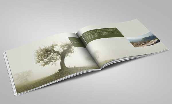 企業(yè)為什么都做高端畫冊設計？