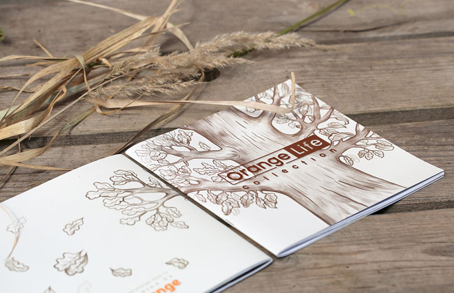 優(yōu)秀的企業(yè)畫冊設(shè)計都有哪些要求呢